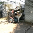 V Holandsk�m z�chrann�m centru